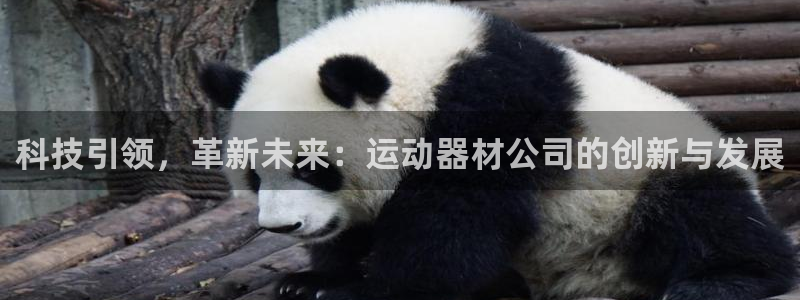 凯捷体育娱乐代理怎么样：科技引领，革新未来：运动器材