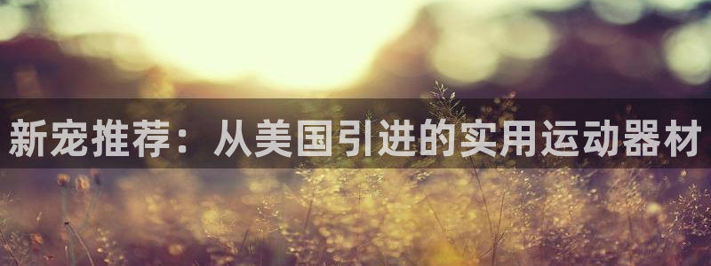 海南凯捷体育发展怎么样：新宠推荐：从美国引进的实用运