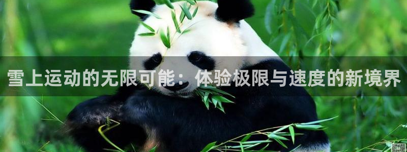 凯捷体育娱乐网站：雪上运动的无限可能：体验极限与速度