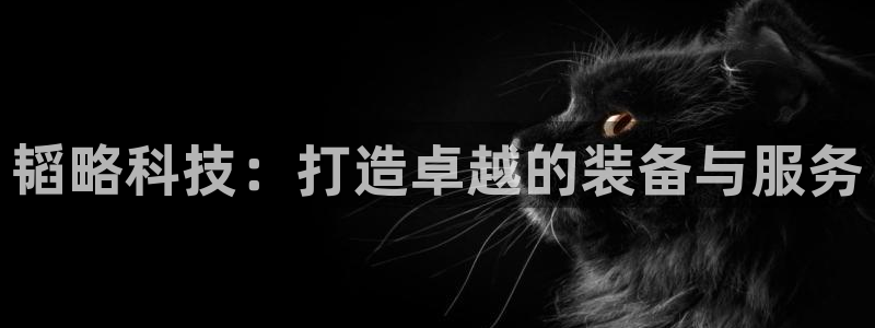 凯捷体育娱乐：韬略科技：打造卓越的装备与服务