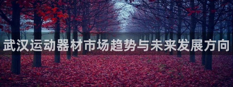 凯捷体育开户：武汉运动器材市场趋势与未来发展方向