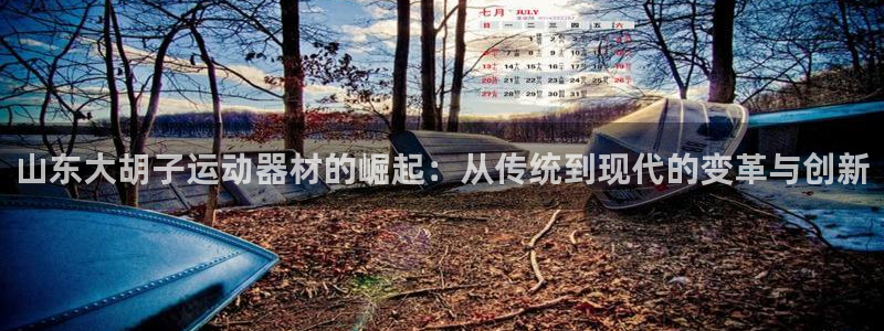 凯捷体育招商电话号码：山东大胡子运动器材的崛起：从传