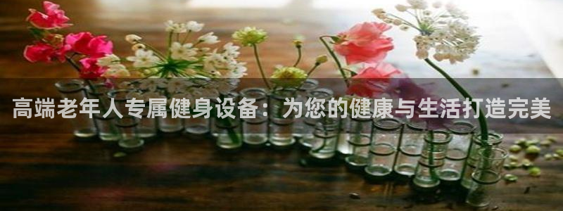 凯捷体育集团简介：高端老年人专属健身设备：为您的健康