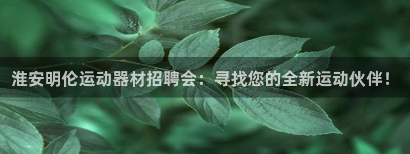 凯捷体育集团官网网址：淮安明伦运动器材招聘会：寻找您