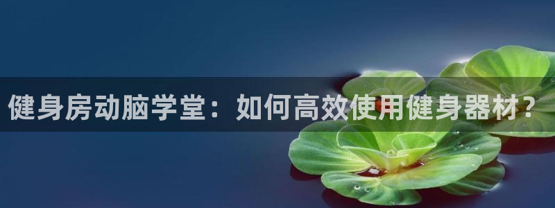 凯捷体育平台注册要钱吗安全吗：健身房动脑学堂：如何高