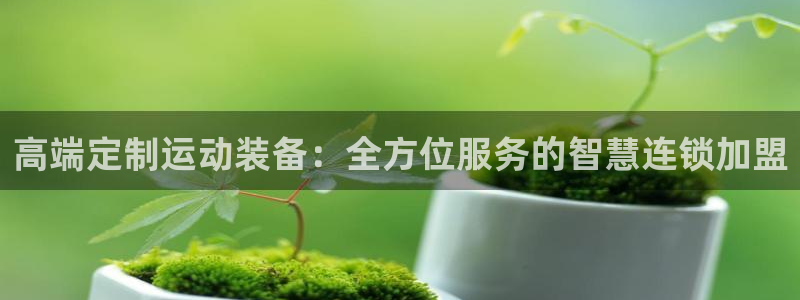 意昂集团官网：高端定制运动装备：全方位服务的智慧连锁
