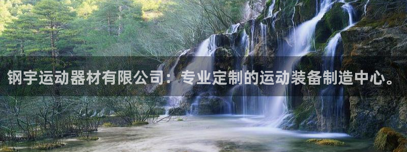 凯捷体育开户：钢宇运动器材有限公司：专业定制的运动装