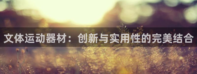 凯捷体育娱乐首页官网下载：文体运动器材：创新与实用性