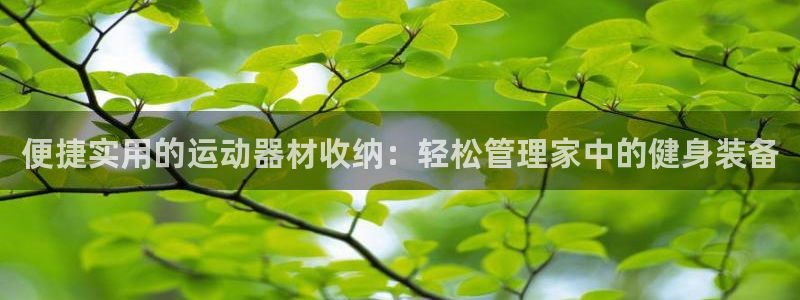 凯捷体育官方：便捷实用的运动器材收纳：轻松管理家中的