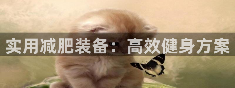凯捷体育平台APP：实用减肥装备：高效健身方案