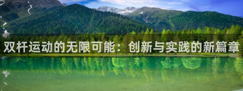 凯捷体育平台注册要钱吗：双杆运动的无限可能：创新与实