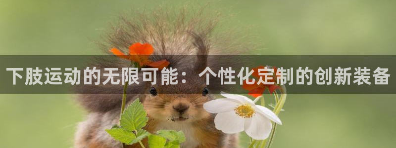 凯捷体育招商电话是多少号码：下肢运动的无限可能：个性