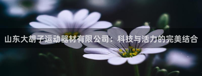 凯捷体育招商电话是多少号码：山东大胡子运动器材有限公