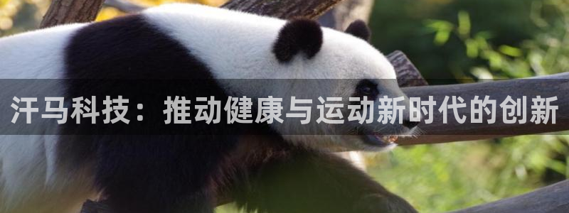 凯捷体育招商电话：汗马科技：推动健康与运动新时代的创