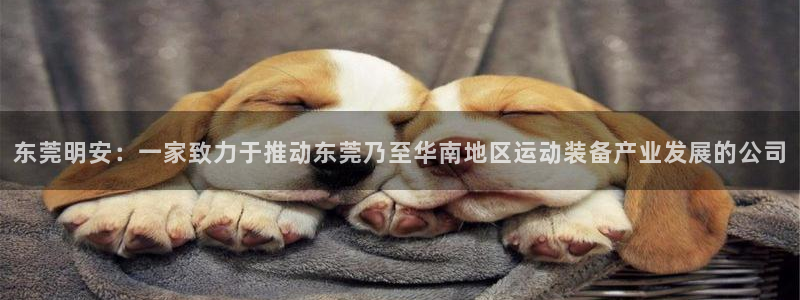 凯捷体育注册：东莞明安：一家致力于推动东莞乃至华南地