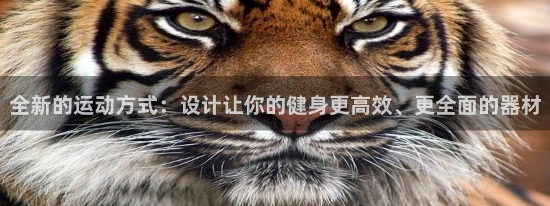 凯捷体育娱乐首页网站大全：全新的运动方式：设计让你的