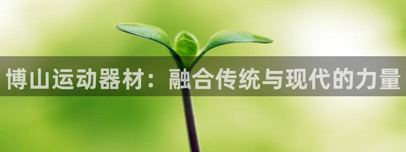 凯捷体育集团E.ON：博山运动器材：融合传统与现代的