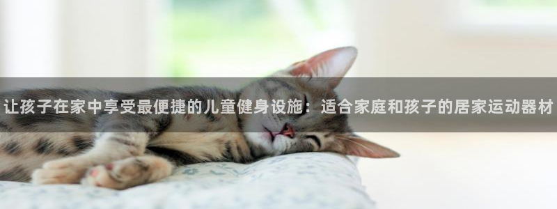 凯捷体育集团简介：让孩子在家中享受最便捷的儿童健身设