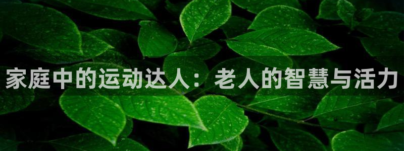 凯捷体育招商：家庭中的运动达人：老人的智慧与活力