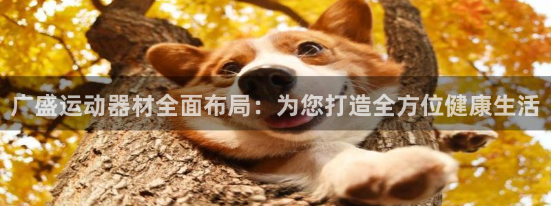 凯捷体育平台注册流程视频：广盛运动器材全面布局：为您