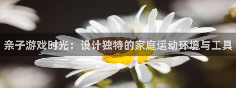 凯捷体育招商电话号码是多少啊：亲子游戏时光：设计独特
