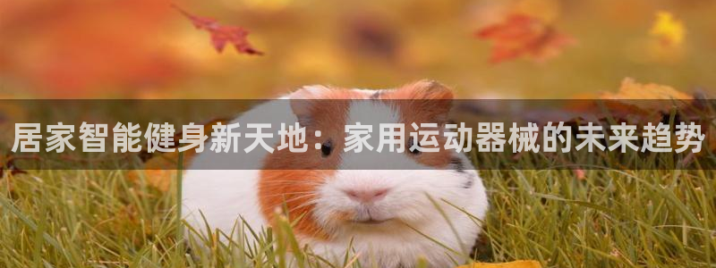 凯捷体育集团简介：居家智能健身新天地：家用运动器械的