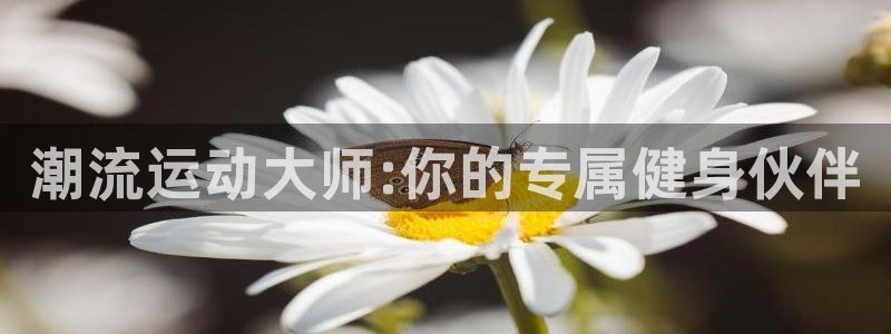 凯捷体育招商电话地址查询：潮流运动大师:你的专属健身伙伴