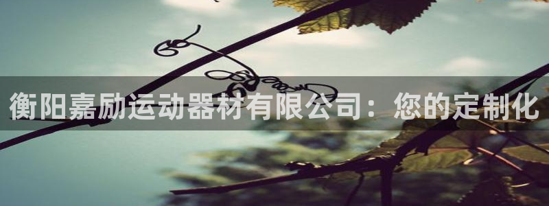 注册凯捷体育：衡阳嘉励运动器材有限公司：您的定制化