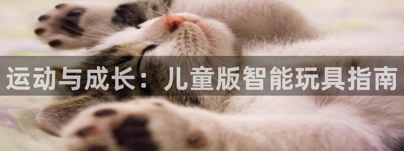 凯捷体育娱乐代理怎么样：运动与成长：儿童版智能玩具指