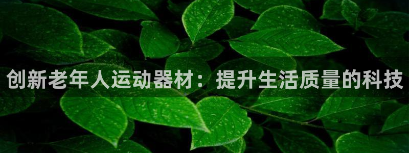 凯捷体育集团：创新老年人运动器材：提升生活质量的科技