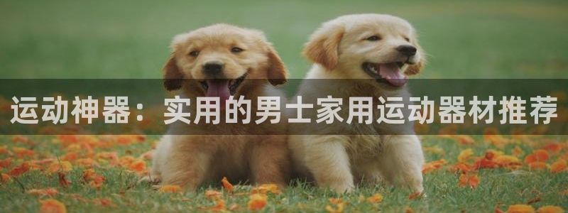 凯捷体育平台注册要钱吗是真的吗：运动神器：实用的男士