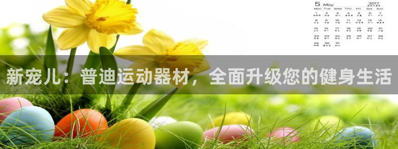 凯捷体育：新宠儿：普迪运动器材，全面升级您的健身生活