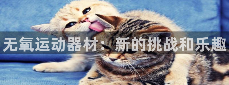 凯捷体育官方：无氧运动器材：新的挑战和乐趣
