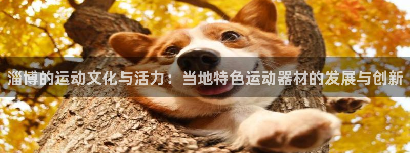 凯捷体育娱乐首页网站大全：淄博的运动文化与活力：当地