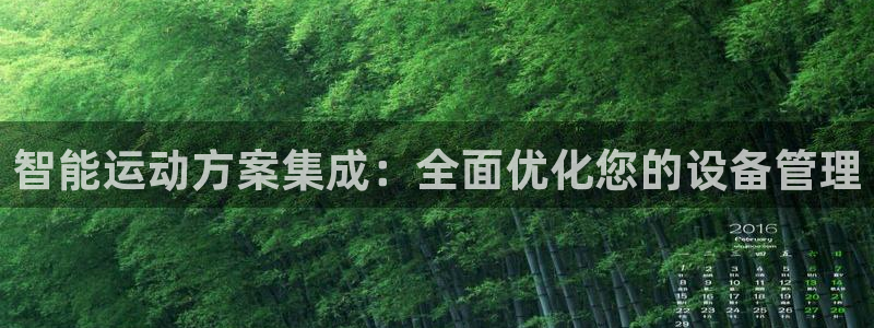 意昂平台体育：智能运动方案集成：全面优化您的设备管理