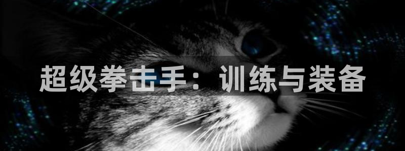 凯捷体育平台APP：超级拳击手：训练与装备