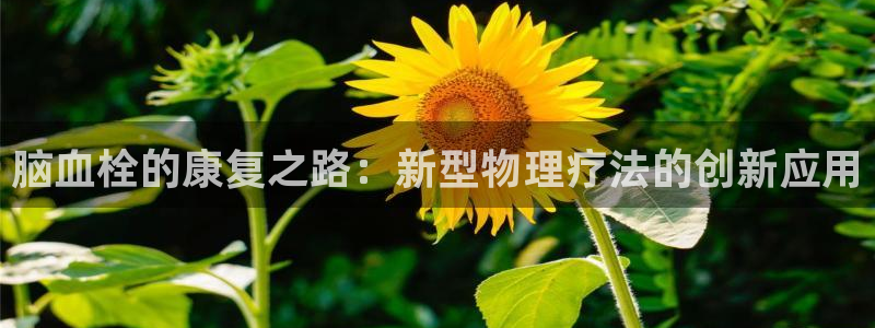 凯捷体育软件：脑血栓的康复之路：新型物理疗法的创新应