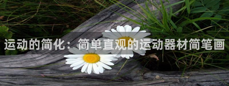 凯捷体育招商电话地址是多少：运动的简化：简单直观的运动器材简