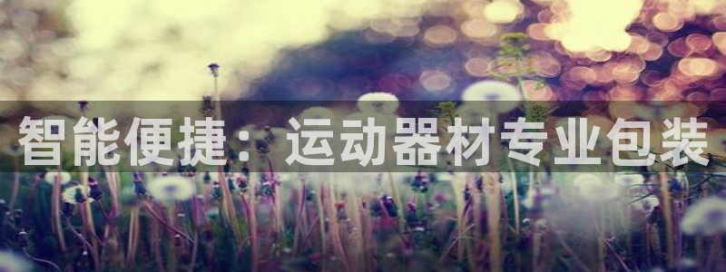 凯捷体育娱乐40996