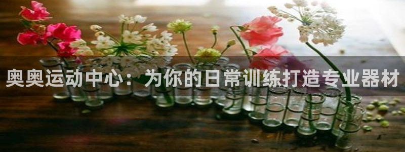 海南凯捷体育发展怎么样：奥奥运动中心：为你的日常训练打造专业
