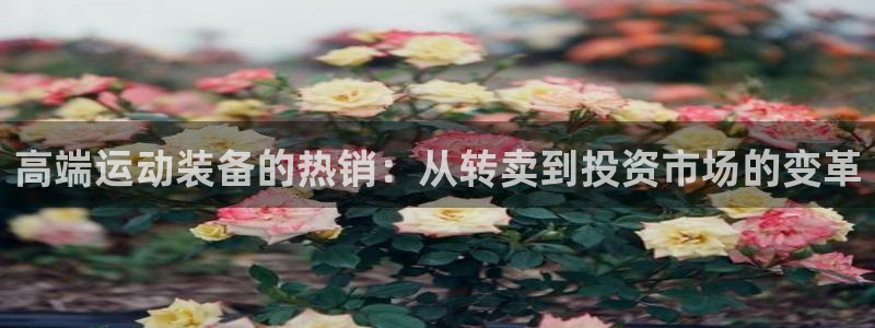 海南凯捷体育：高端运动装备的热销：从转卖到投资市场的变革