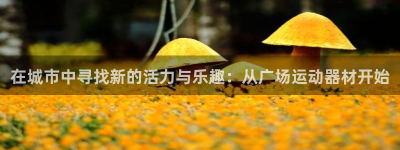 凯捷体育联系电话：在城市中寻找新的活力与乐趣：从广场运动器材