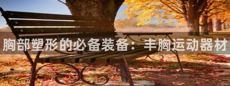 意昂集团官网：胸部塑形的必备装备：丰胸运动器材