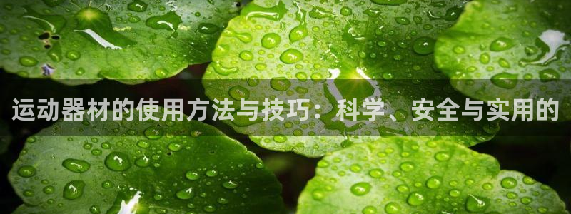 凯捷体育平台注册流程图：运动器材的使用方法与技巧：科