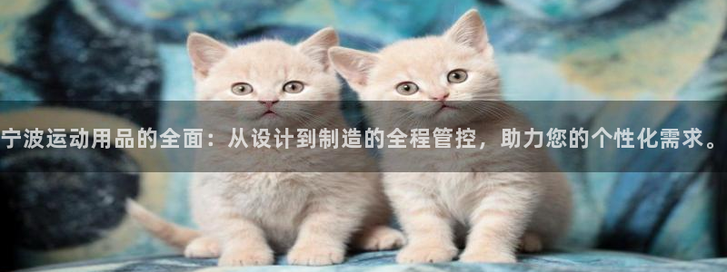 凯捷体育招商电话号码是多少号：宁波运动用品的全面：从设计到制