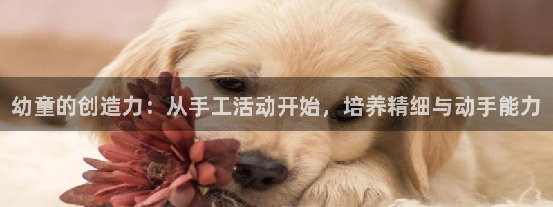 凯捷体育招商：幼童的创造力：从手工活动开始，培养精细