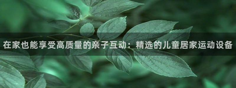 凯捷体育娱乐网站：在家也能享受高质量的亲子互动：精选