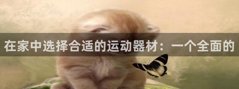 凯捷体育集团logo：在家中选择合适的运动器材：一个全面的