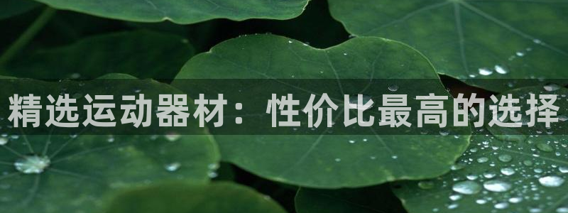 凯捷体育代理：精选运动器材：性价比最高的选择