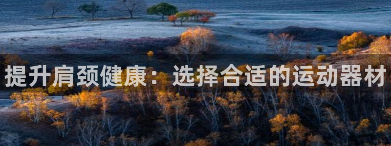 凯捷体育集团logo：提升肩颈健康：选择合适的运动器